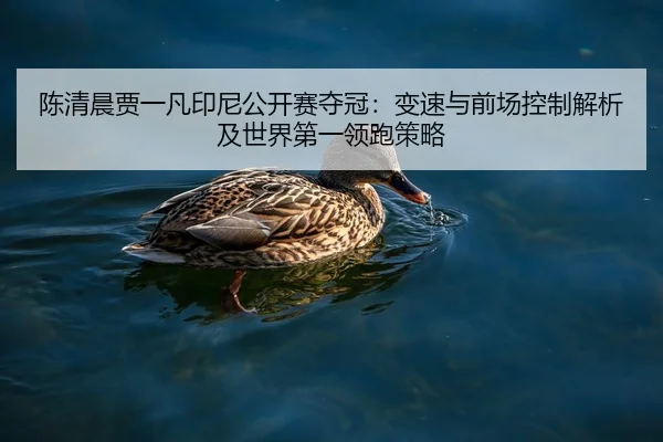陈清晨贾一凡印尼公开赛夺冠：变速与前场控制解析及世界第一领跑策略